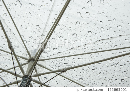 大雨中塑膠雨傘內部的照片 123663901