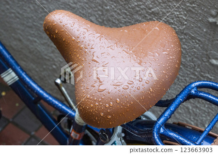 被雨水浸濕的自行車鞍座 123663903