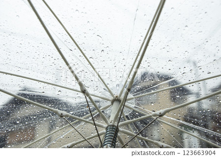 從被雨水浸濕的雨傘拍攝住宅區 123663904