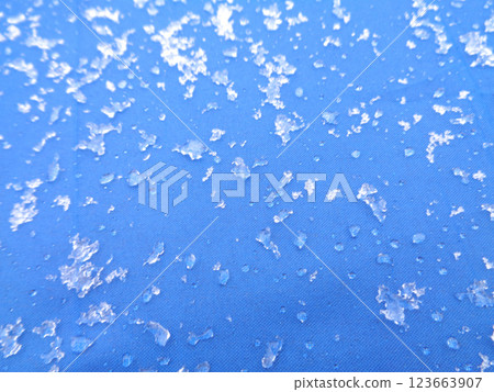 Snow-covered umbrella surface 123663907
