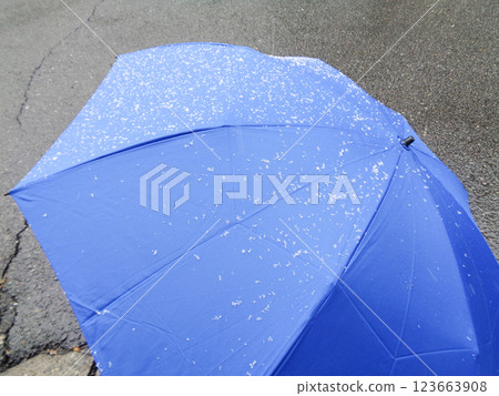 傘上的小雪 123663908