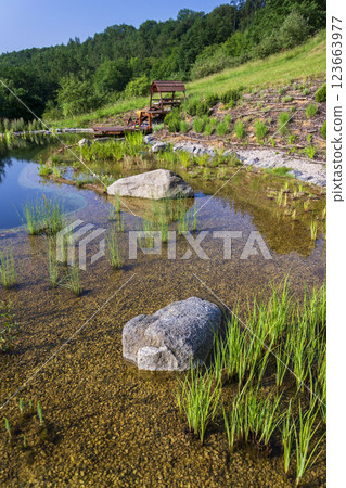 Pretty wooden pier at natural swimming pond or pool - NSP - purifying water without chemicals through biological filters and plants Pretty wooden pier at natural swimming pond or pool - NSP - purifying water without chemicals through biological filters and plants 123663977