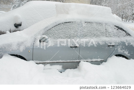 Sedan Hidden Beneath Thick Snowfall 123664029