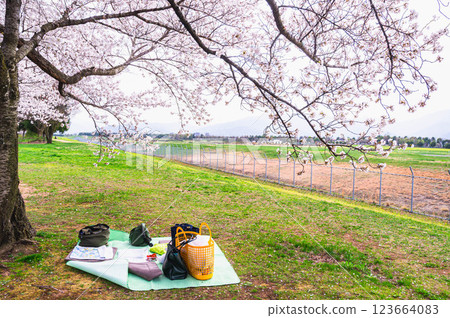 Cherry blossom viewing spot: Shinshu Sky Park 123664083