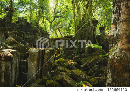 Cambodia Ben Melia ruins 123664120