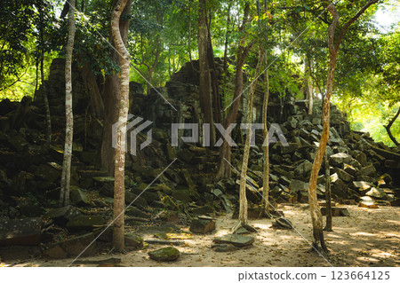 柬埔寨本梅利亞遺址 123664125