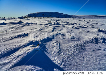 Snowy expanse under blue sky after blizzard, amazing landscape 123664192