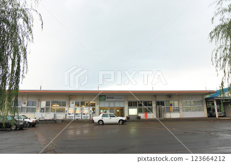 新井站 信越本線 新井站 信越本線 123664212