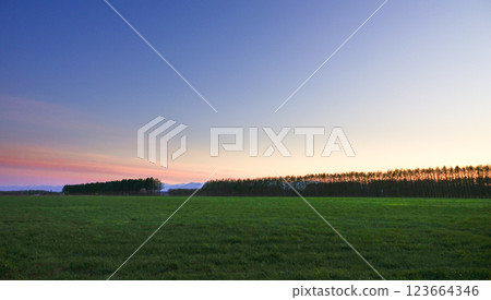 北海道十勝平原日落後的牧場和防風林的春景 北海道十勝平原日落後的牧場和防風林的春景 123664346