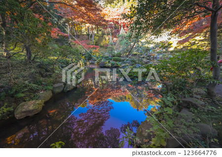 Serene Garden Pond With Vibrant Autumn Foliage Dec 4 2024 123664776