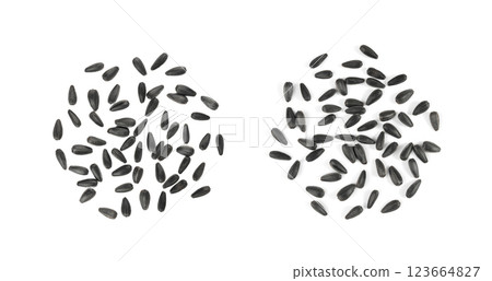 Sunflower seeds pile isolated, black oil sun flower grains group with shell, fresh edible oil seeds heap Sunflower seeds pile isolated, black oil sun flower grains group with shell, fresh edible oil seeds heap 123664827