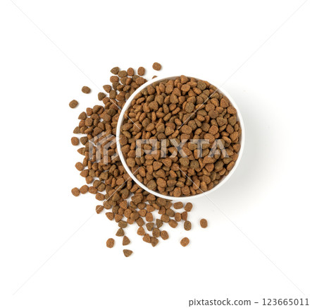 Dry pet food, dog kibble pile, puppy pellets, small canine protein croquette meal, animal food Dry pet food, dog kibble pile, puppy pellets, small canine protein croquette meal, animal food 123665011