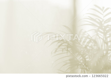 Sunlight on curtain, blurred shadow tulle background, sheer curtains, silk veil fabric 123665022
