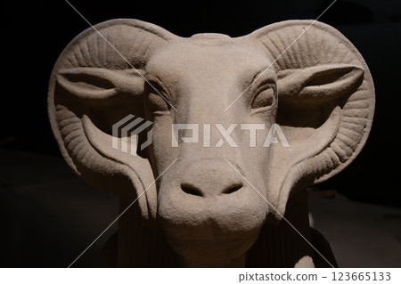 圖坦卡門受到阿蒙拉神殿的羊頭獅身人面像的保護 圖坦卡門受到阿蒙拉神殿的羊頭獅身人面像的保護 123665133