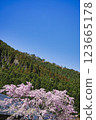 Cherry blossoms in full bloom with the mountains in the background 123665178