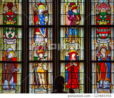 Stained glasses of the cathedral, Josselin, France 123665350