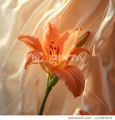 Creamy Blooms: Tuberose Meets Flowing Silk Creamy Blooms: Tuberose Meets Flowing Silk 123665638