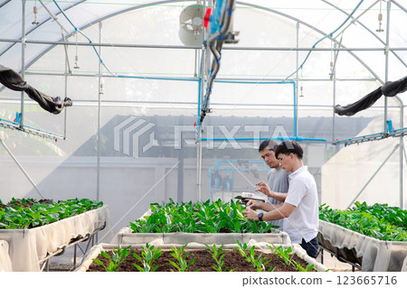 Farmer monitoring organic vegetable in plant nursery greenhouse farm. Smart agriculture technology. Smart agriculture technology concept. Farmer monitoring organic vegetable in plant nursery greenhouse farm. Smart agriculture technology. Smart agriculture technology concept. 123665716