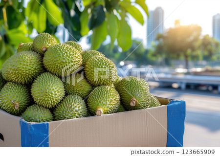 Fresh durian fruits in box on blurred background of the street. 123665909