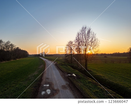 This scene features a scenic rural sunrise showcasing a beautiful tree alongside a peaceful pathway This scene features a scenic rural sunrise showcasing a beautiful tree alongside a peaceful pathway 123666047
