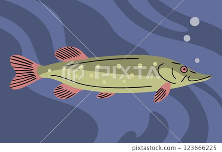 Predatory fish pike underwate 123666225