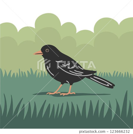 Blackbird with bright beak Blackbird with bright beak 123666232