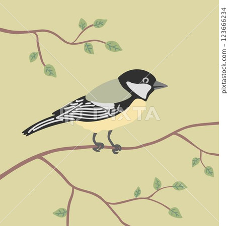 Little forest tit bird on a tree branch 123666234