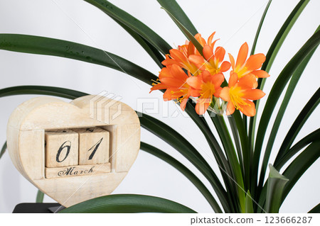 March 1 with the number and month on the calendar with Clivia flower March 1 with the number and month on the calendar with Clivia flower 123666287