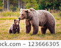 Mother bear with her cub in a forest clearing, generative ai 123666305