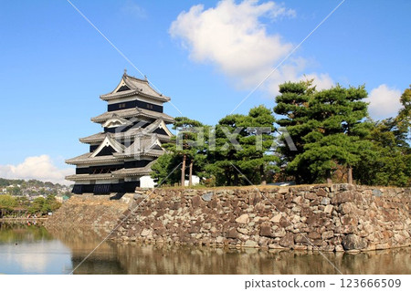 Matsumoto Castle Matsumoto Castle 123666509