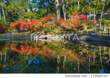 靜岡縣袋井市賀水齋寺的北條池被秋葉染成色彩 靜岡縣袋井市賀水齋寺的北條池被秋葉染成色彩 123666544