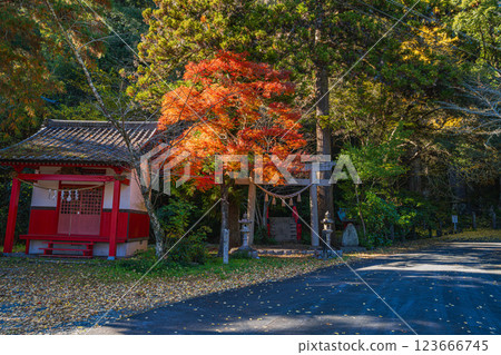 濱松市(靜岡縣)岩水寺的紅葉風景 濱松市(靜岡縣)岩水寺的紅葉風景 123666745