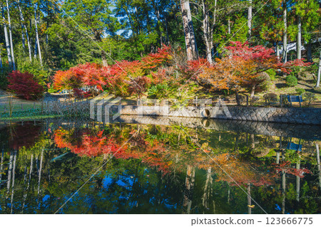 A view of the Hojo Pond at Kasui-sai Temple in Fukuroi City, Shizuoka Prefecture, colored by autumn leaves A view of the Hojo Pond at Kasui-sai Temple in Fukuroi City, Shizuoka Prefecture, colored by autumn leaves 123666775