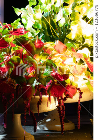 Large bouquet of red-green calla flowers close-up 123666779