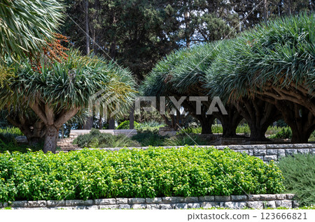 Park Ramat Hanadiv, Memorial Gardens of Baron Edmond de Rothschild, Zichron Yaakov, Israel Park Ramat Hanadiv, Memorial Gardens of Baron Edmond de Rothschild, Zichron Yaakov, Israel 123666821