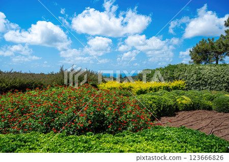 Park Ramat Hanadiv, Memorial Gardens of Baron Edmond de Rothschild, Zichron Yaakov, Israel Park Ramat Hanadiv, Memorial Gardens of Baron Edmond de Rothschild, Zichron Yaakov, Israel 123666826
