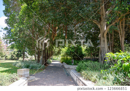 Park Ramat Hanadiv, Memorial Gardens of Baron Edmond de Rothschild, Zichron Yaakov, Israel 123666851
