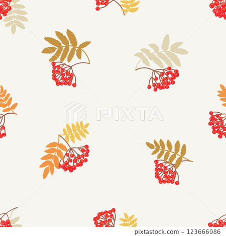 Rowan berries scattered on light-colored background. Rowan berries scattered on light-colored background. 123666986