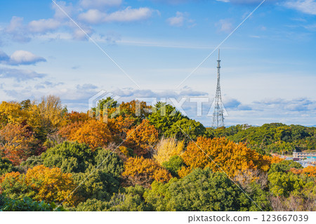 從濱松城周圍欣賞濱鬆的街景和紅葉(靜岡縣) 從濱松城周圍欣賞濱鬆的街景和紅葉(靜岡縣) 123667039