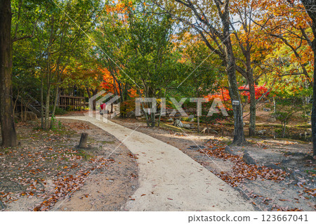 濱松市（靜岡縣）濱松城公園的紅葉 123667041