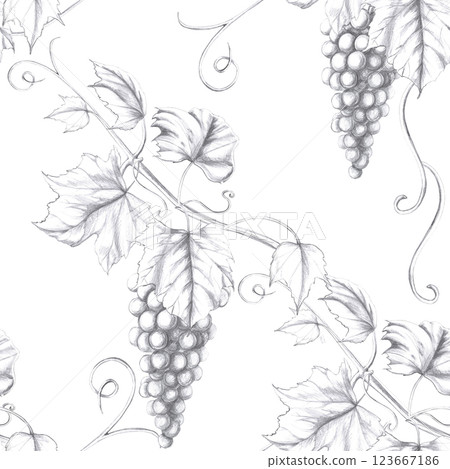 Seamless pattern on white background with grapevine. Pencil illustration on food theme for restaurant interior design, menu, culinary magazines. Seamless pattern on white background with grapevine. Pencil illustration on food theme for restaurant interior design, menu, culinary magazines. 123667186