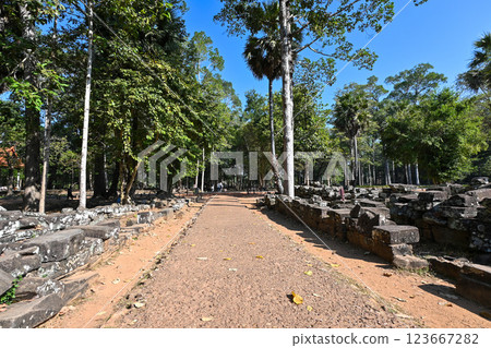 Angkor Thom Bayon Temple, Angkor Archaeological Park, Cambodia 123667282