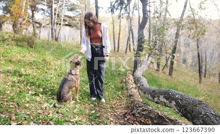 Young woman walking with a dog in an autumn forest 123667390