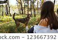 Young woman walking with a dog in an autumn forest 123667392