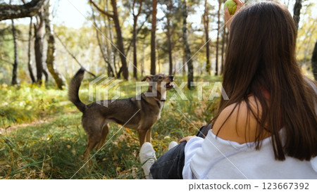 Young woman walking with a dog in an autumn forest 123667392