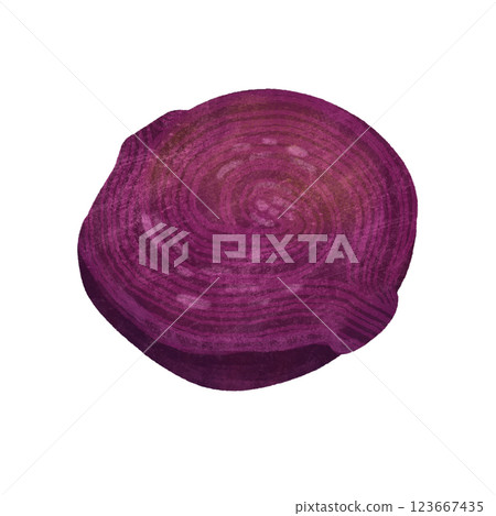 Beetroot, a handmade digital illustration isolated on a white background. Beetroot, a handmade digital illustration isolated on a white background. 123667435