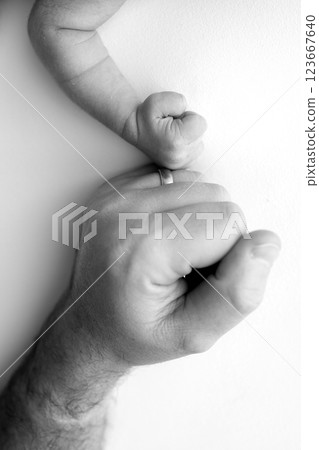 Two hands: man and child. Father and son touching fists. Dad and newborn son boys holding hands together. Little and big fists of father and son. Black and white professional photo.  123667640