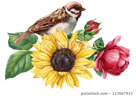 Watercolor sparrow with sunflower, pink rose and green leaves isolated on white background. bird and floral arrangement 123667913