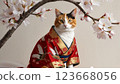 穿著和服的日本貓 123668056