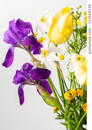 Irises and yellow ranunculus, yellow tulips with white daffodils 123668236